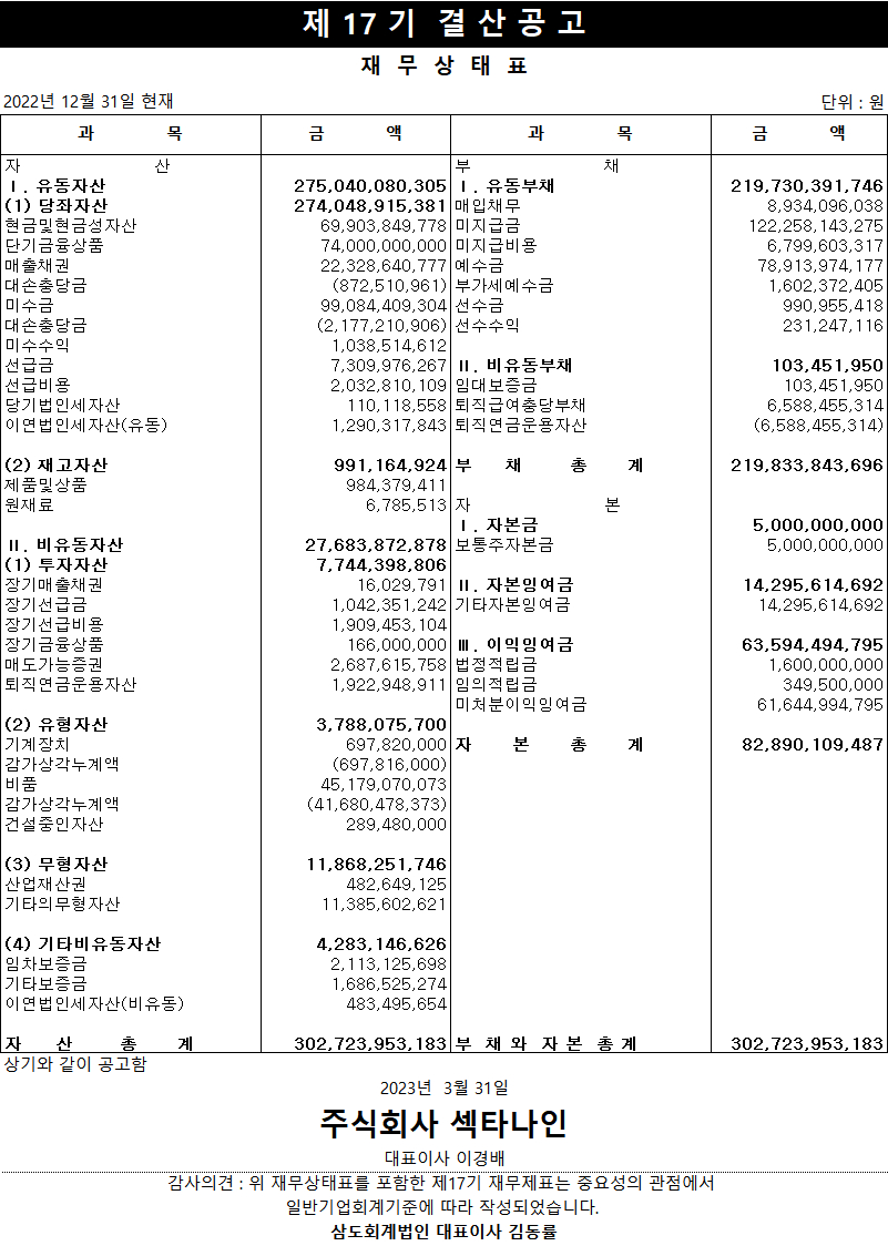 제 17기 결산공고 재무상태표 이미지