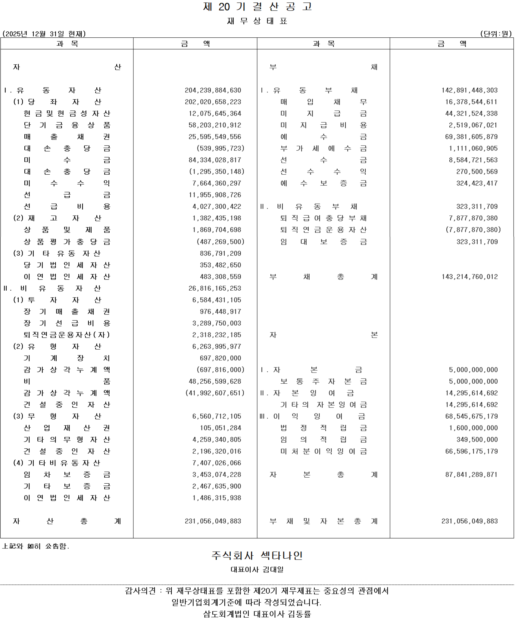 제 20기 결산공고 재무상태표 이미지